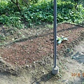 DSCN6544