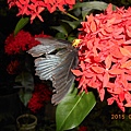 DSCN8286