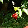 DSCN8318