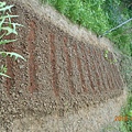 DSCN0049.JPG