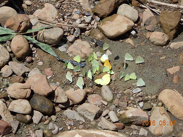 DSCN0306.JPG