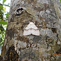 DSCN0265.JPG