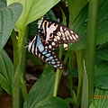 DSCN0291.JPG