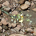 DSCN0306.JPG
