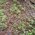 DSCN0338.JPG
