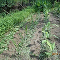 DSCN0356.JPG