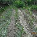DSCN0364.JPG