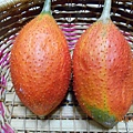 DSCN0686.JPG