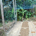 DSCN0768.JPG