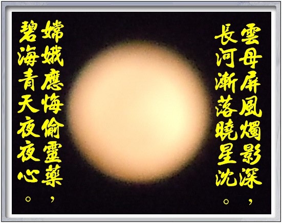 DSCN80401.jpg