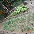 DSCN0934.JPG