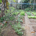 DSCN0932.JPG