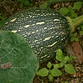 DSCN1209.JPG