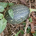 DSCN1211.JPG