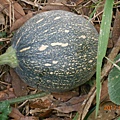 DSCN1210.JPG