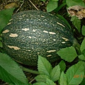 DSCN1212.JPG