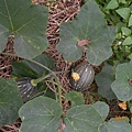 DSCN1215.JPG