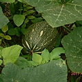 DSCN1214.JPG