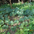 DSCN1221.JPG