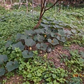DSCN1224.JPG