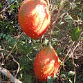 DSCN1332.JPG