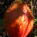 DSCN1334.JPG