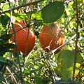 DSCN1329.JPG