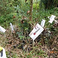 DSCN1881.JPG