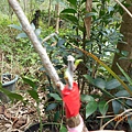 DSCN1993.JPG