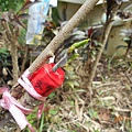 DSCN1992.JPG