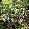DSCN2079.JPG