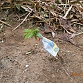 DSCN2123.JPG