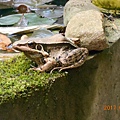 DSCN2167.JPG