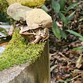 DSCN2165.JPG