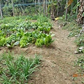 DSCN2169.JPG