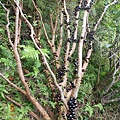 DSCN2224.JPG