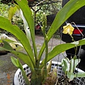 DSCN2940.JPG