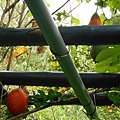 DSCN3461.JPG