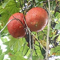 DSCN3462.JPG