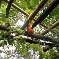 DSCN3459.JPG