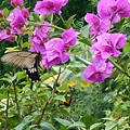 DSCN3737.JPG