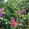 DSCN3738.JPG