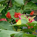 DSCN3739.JPG