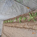 DSCN4077.JPG