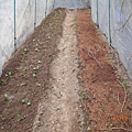 DSCN4094.JPG