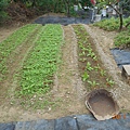 DSCN4117.JPG