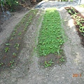 DSCN4120.JPG