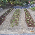 DSCN4123.JPG