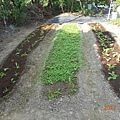 DSCN4121.JPG