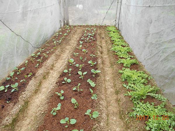 DSCN4177.JPG